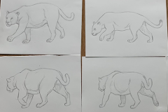 Boceto final Felidae