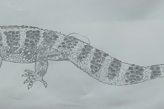 Boceto final  Reptilia